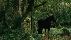 Остаться в Живых 2 сезон 9 серия