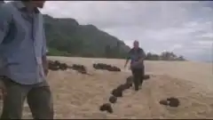 Остаться в Живых 2 сезон 19 серия